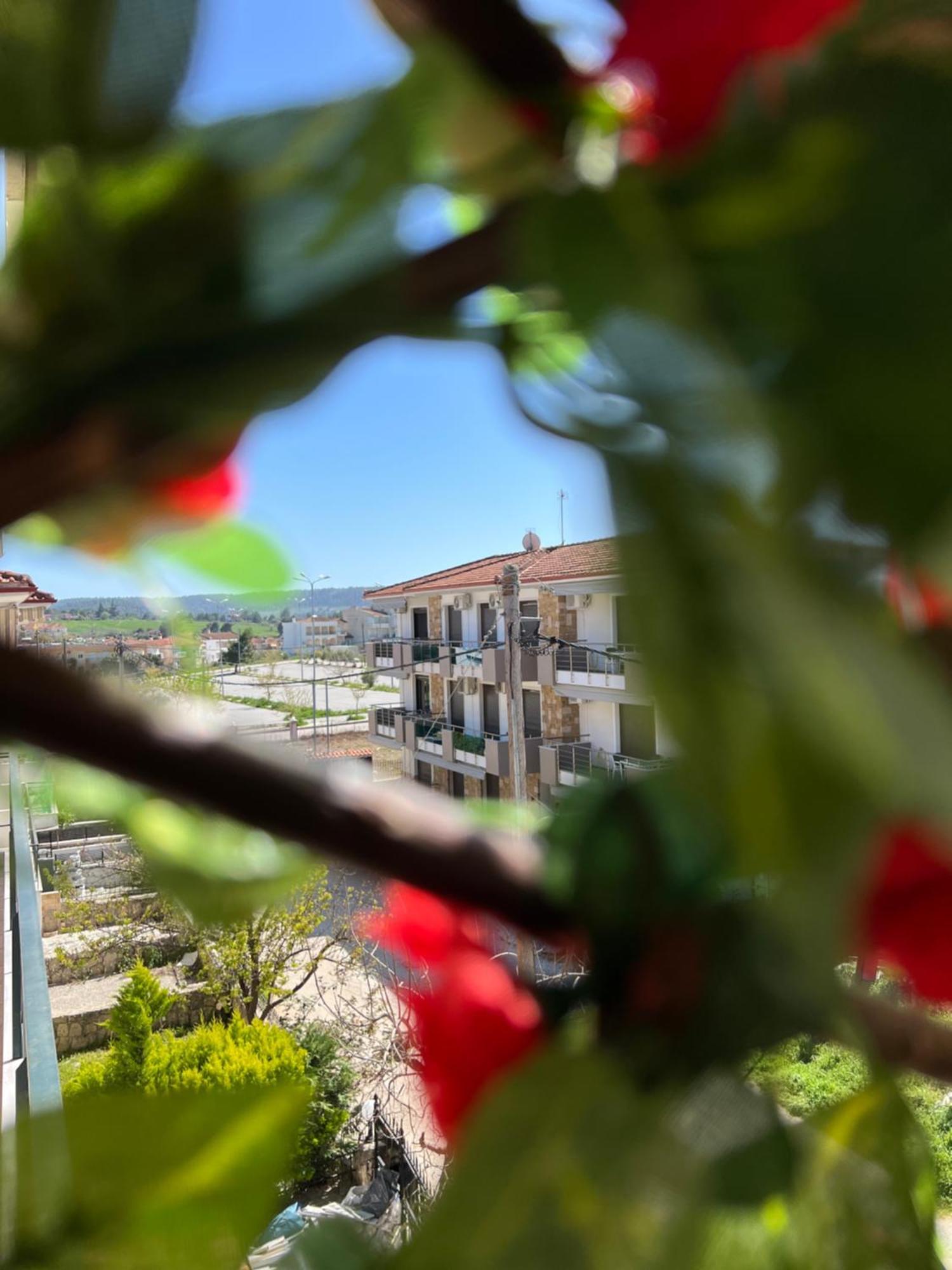 Apartment Seaside Aliki *